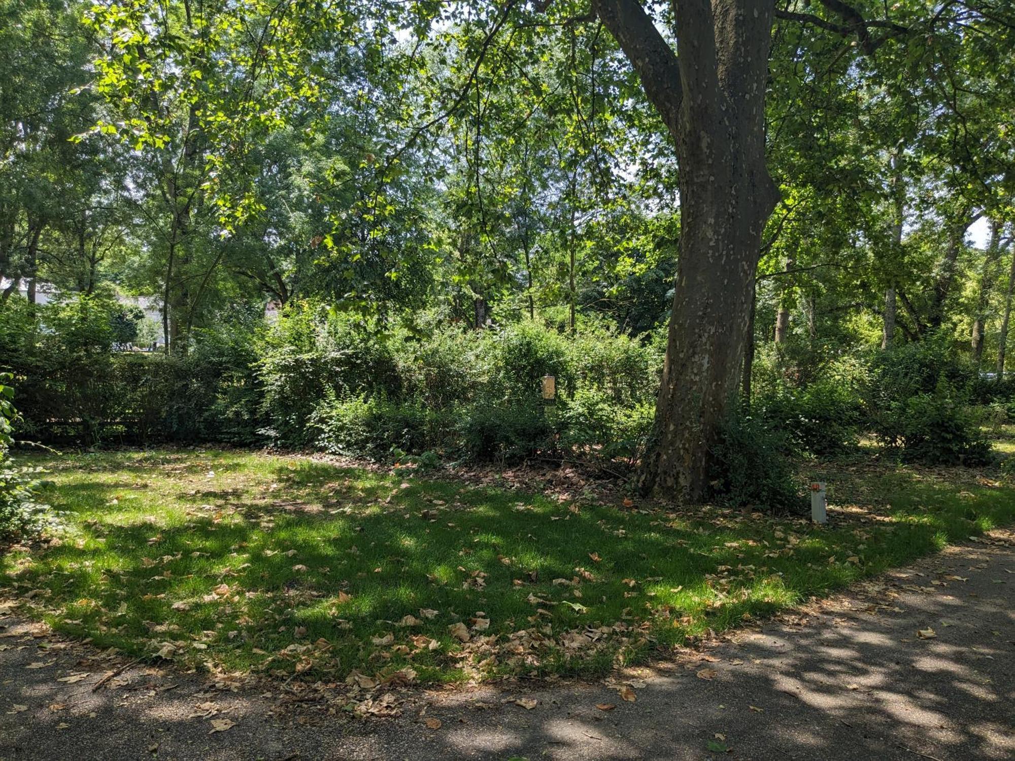 Camping Onlycamp La Confluence Savonnières Buitenkant foto